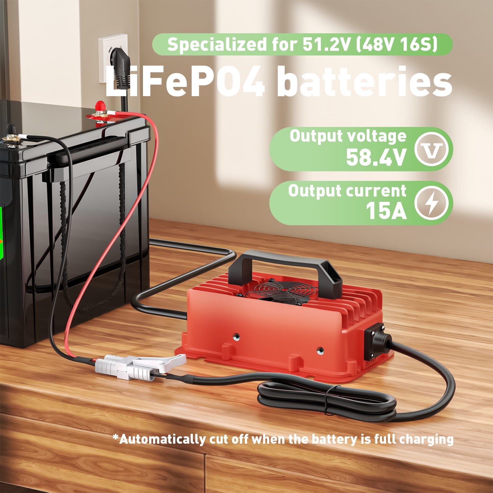 NOEIFEVO 58,4 V 15 A  impermeabile  LiFePO4 Caricabatteria  per batteria LiFePO4 51,2 V (48 V) 16 S
​
​