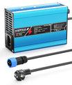 NOEIFEVO 36.5V 2A 3A 3.5A 4A   LiFePO4 nabíječka baterií pro 10S 32V LiFePO4 baterii, automatické vypnutí（BLUE）