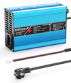 NOEIFEVO 25.2V 2A 3A 4A 5A  מטען ליתיום עבור סוללות Li-Ion Lipo 6S 22.2V, מאוורר קירור, כיבוי אוטומטי (כחול)
